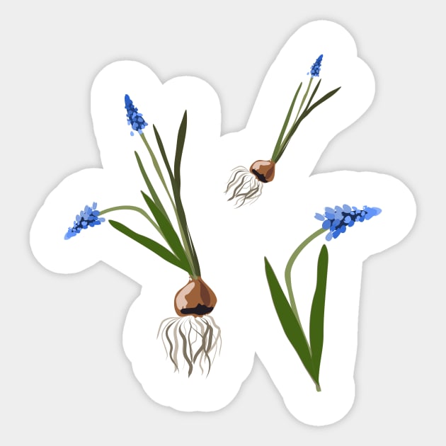 Muscari flowers Sticker by Orangerinka